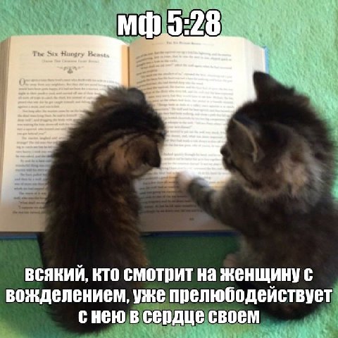 28 Tae Six Huagry Bean, Won всякий, кто смотрит на женщину с вожделением, уже прелюбодействует снею в сердце своем