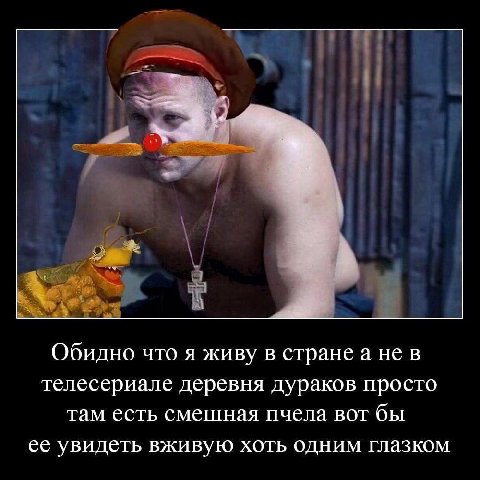 Обидно что я живу в стране a нев телесериале деревня дураков просто там есть смешная пчела вот бы ее увидеть вживую хоть одним глазком