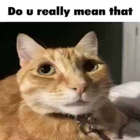 really mean that we