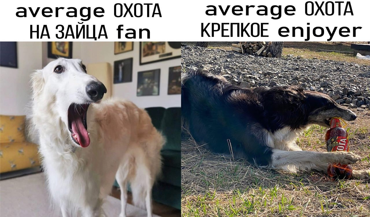 average ОХОТА average ОХОТА oyer НА ЗАЙЦА fan КРЕПКОЕ a ass 4 4 A aN a 2