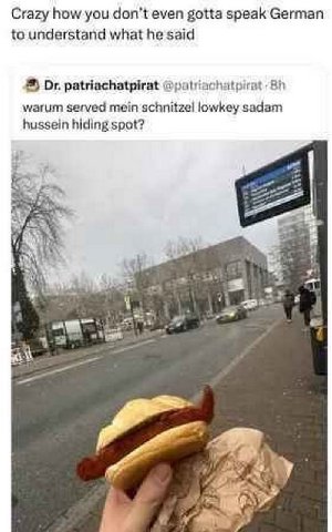Crazy how you don’t even gotta speak German to understand what he said patriachatpirat @patriachatpirat warum served mein schnitzel lowkey sadam hussein hiding spot? a