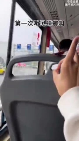 мем
