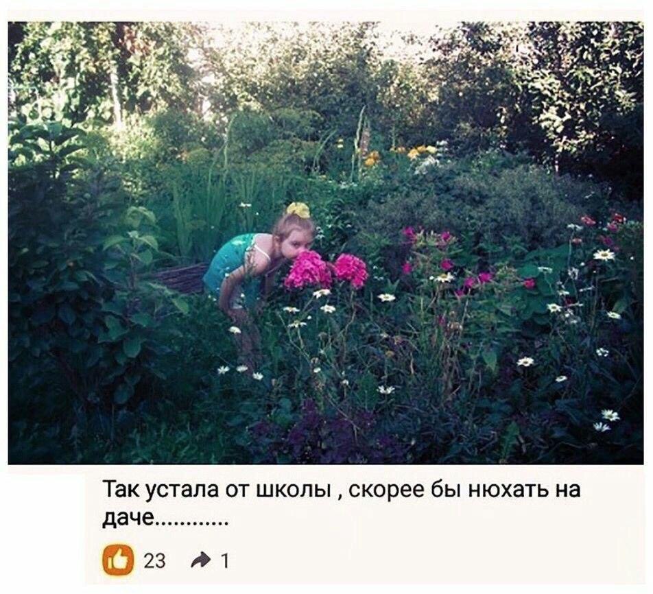 A 7 4 be 45% 76% 4 An +4 у 9 7 2: A Так устала от школы скорее бы нюхать на 23 A1