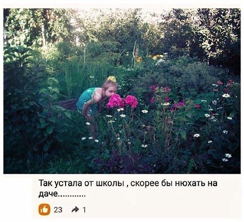 A 7 4 be 45% 76% 4 An +4 у 9 7 2: A Так устала от школы скорее бы нюхать на 23 A1