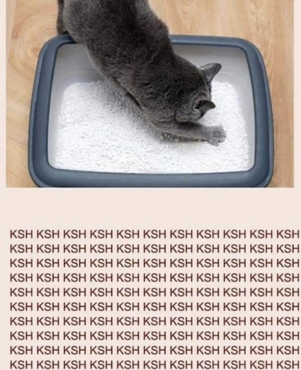 KSH KSH KSH KSH KSH KSH KSH KSH KSH KSH KSH KSH KSH KSH KSH KSH KSH KSH KSH KSH KSH KSH KSH KSH KSH KSH KSH KSH KSH KSH KSH KSH KSH KSH KSH KSH KSH KSH KSH KSH KSH KSH KSH KSH KSH KSH KSH KSH KSH KSH 