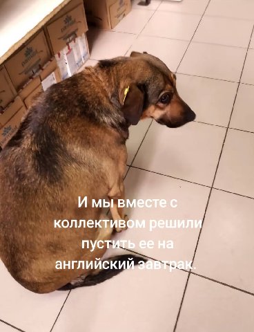И мы коллективс a английский