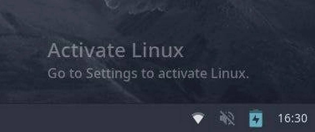 Activate Linux to Settings to activate Linux. 16:30