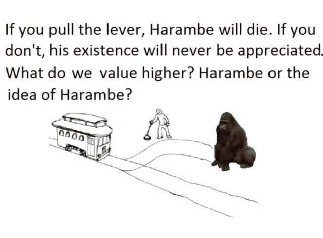 If you pull the lever, Harambe will die. you don't, his existence will never be appreciated. What we value higher? Harambe or the idea of Harambe? А