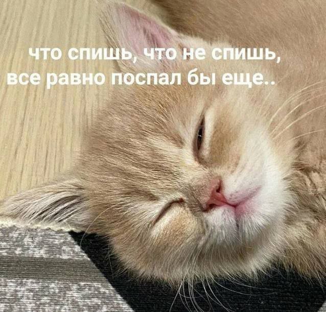 что спишь, что спиш A все равно поспал бы 3 a