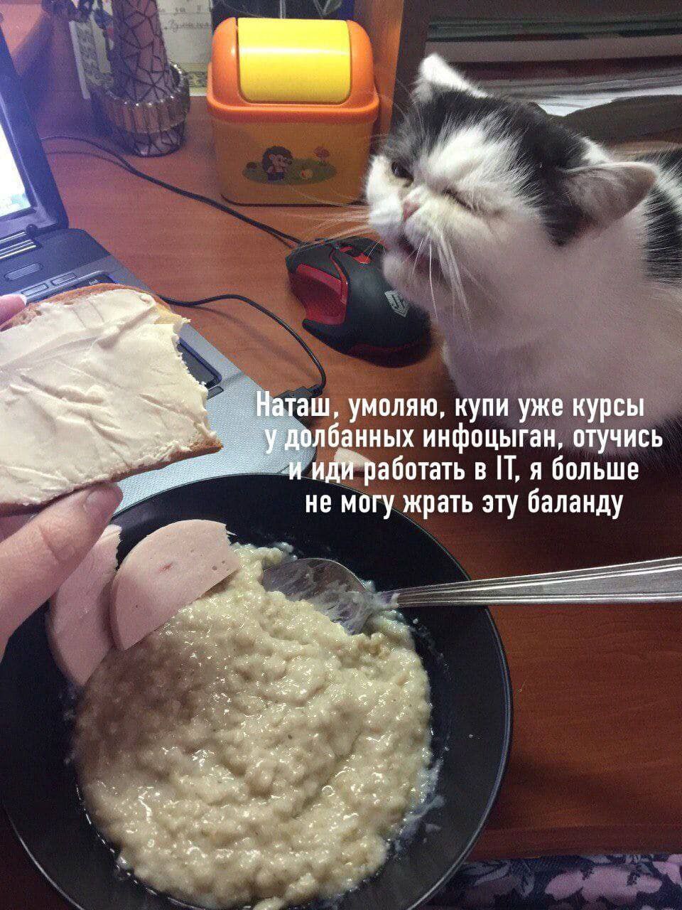 Наташ, умоляю, купи уже курсы долбанных инфоцыган, отучись и иди работать в IT, я больше не могу жрать эту баланду