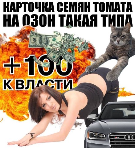 КАРТОЧКА СЕМЯН ТОМАТА 08] OF 7 DNS