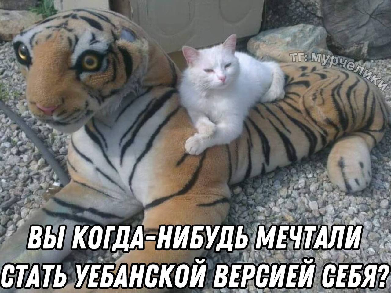 a у МЕЧТАЛИ: КОГДА-НИБУДЬ ВЫ К 9 БАНСКОЙ ВЕРСИЕЙ СЕБЯ? СТАТЬ УЕБАНСКОЙ
