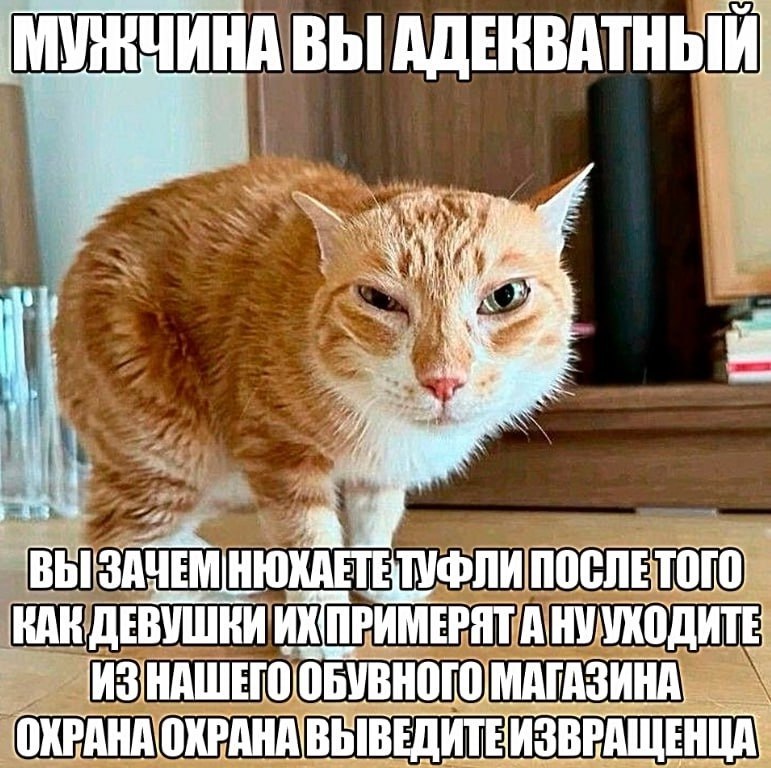 ВЫ АДЕНВАТНЫЙ at 7 КАК АНУУХОДИТЕ ОБУВНОГО МАГАЗИНА: ОХРАНА ОКРАНАВЫВЕДИТЕИЗВРАЩЕНЦА