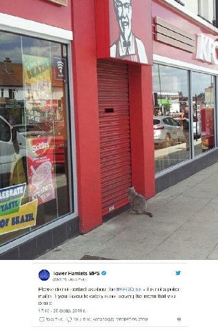1 4 а 3 1 We i 2 see 224 3 a и. у a of Tower Hamlets MPS @MPSTowerHam Please not contact about the #KFCCrisis it is not a police matter if your favourite eatery is not serving the menu that you desire