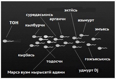немного удмуртских мемов