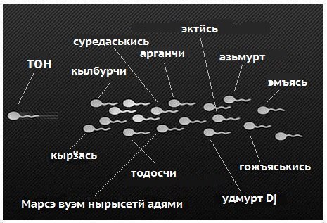 немного удмуртских мемов