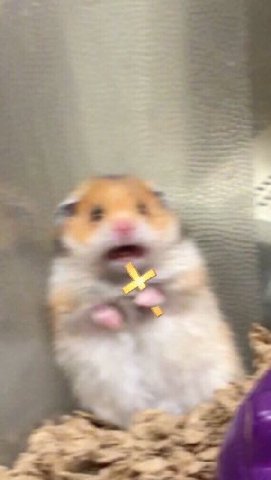 we