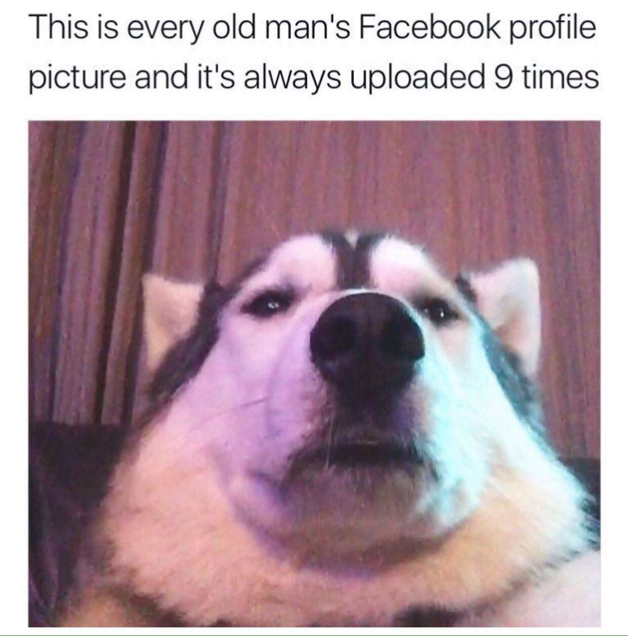 This is every old man's Facebook profile picture and it's always uploaded 9 times