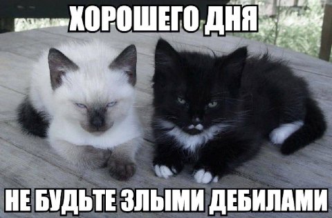 ХОРОШЕГО. ДНЯ» 4 4 НЕБУДЬТЕ ЗЛЫМИ ДЕБИЛАМИ