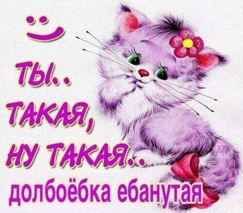 Ты... ТАКАЯ, долбоёбка ебанутая