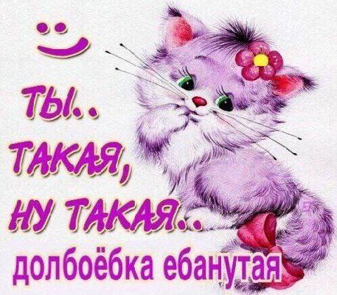 Ты... ТАКАЯ, долбоёбка ебанутая