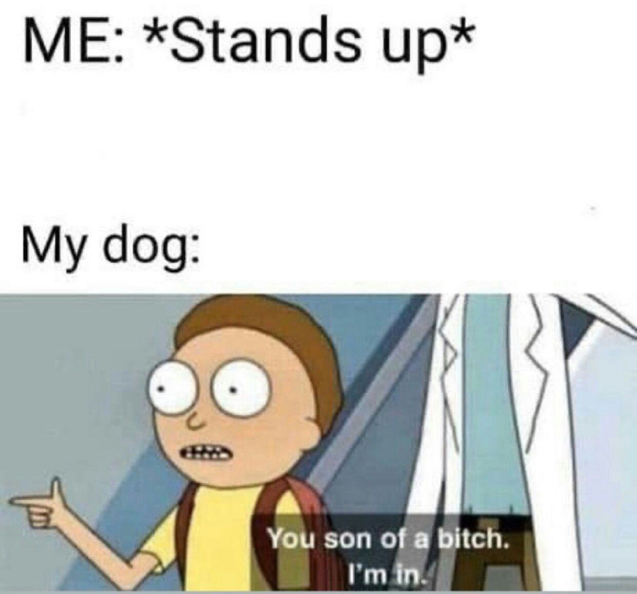 *Stands up My dog You son ofa bitch.