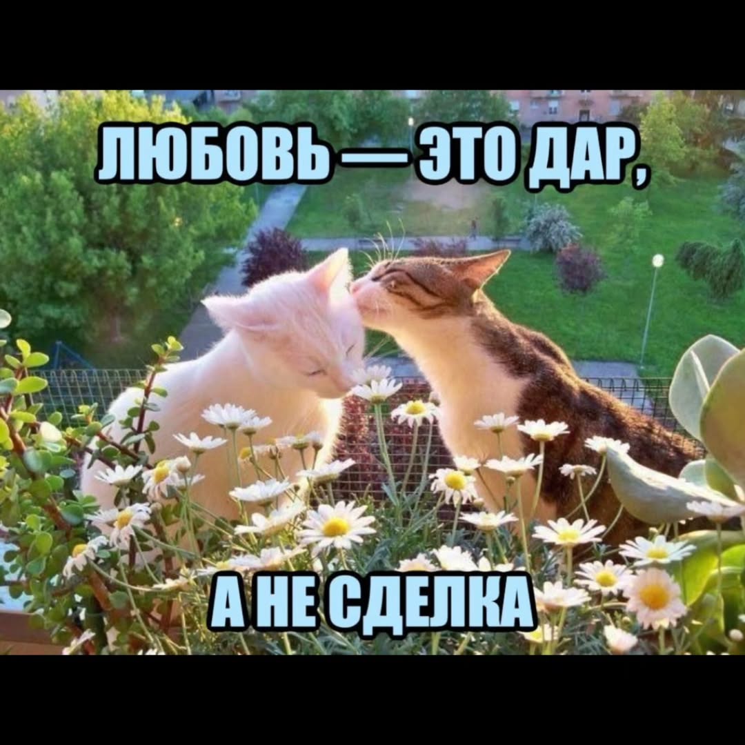 ЛЮБОВЬ ЭТО ДАР, AME