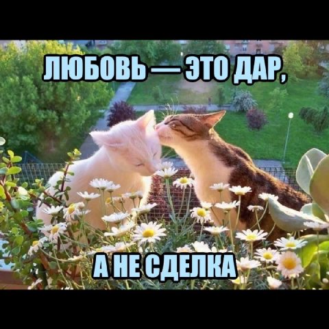 ЛЮБОВЬ ЭТО ДАР, AME