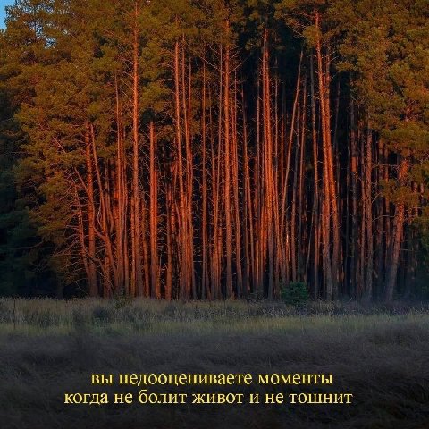 вы недооцениваете моменты когда не болит живот и не тошнит