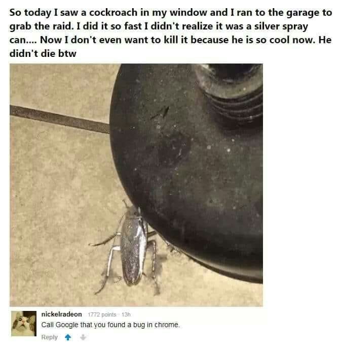 So today I saw a cockroach my window and I ran to the garage to grab the raid. I did it so fast I didn't realize it was a silver spray can.... Now I don't even want to kill it because he is so cool no