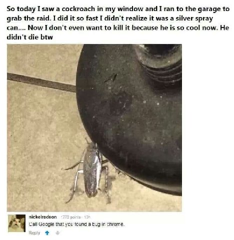 So today I saw a cockroach my window and I ran to the garage to grab the raid. I did it so fast I didn't realize it was a silver spray can.... Now I don't even want to kill it because he is so cool no