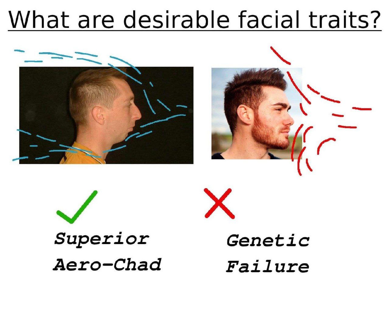 What are desirable facial traits? Superior Genetic Aero-Chad Failure