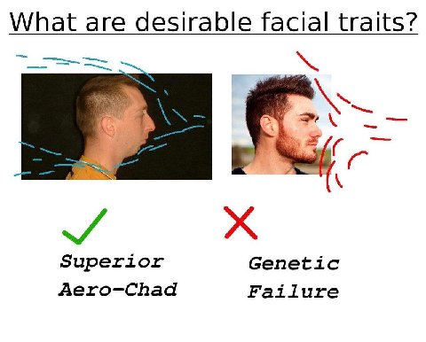 What are desirable facial traits? Superior Genetic Aero-Chad Failure