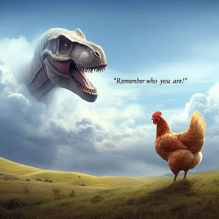 itis я 5 “Remember who you are!" an