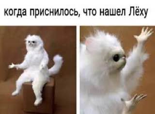когда приснилось, что нашел Лёху