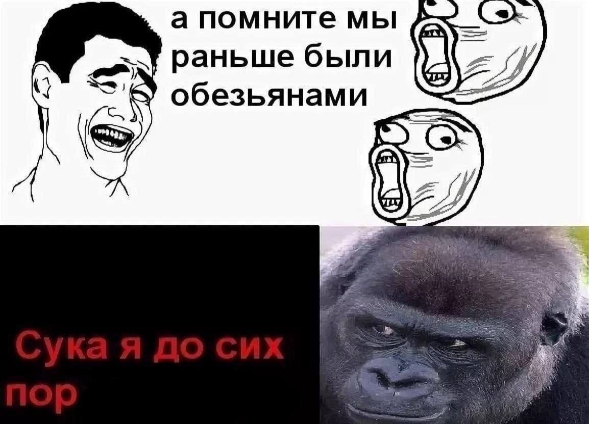 а помните мы раньше были обезьянами