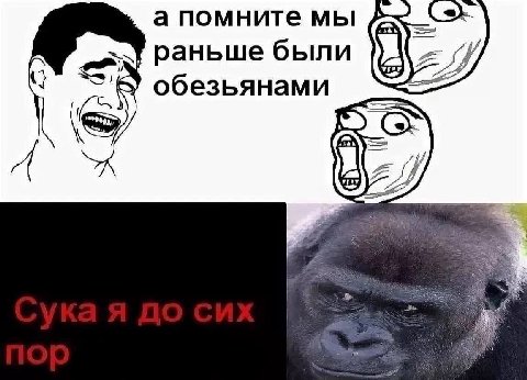 а помните мы раньше были обезьянами