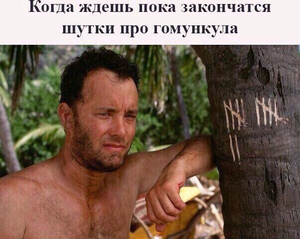 когда ждешь пока закончатся шутки про гомункула