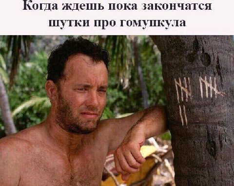 когда ждешь пока закончатся шутки про гомункула