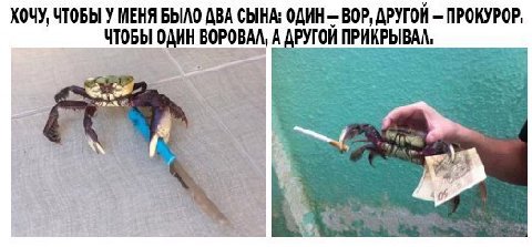 ХОЧУ, ЧТОБЫ У МЕНЯ БЫЛО ДВА СЫНА: ОДИН ВОР, ДРУГОЙ ПРОКУРОР, ЧТОБЫ ОДИН BOPOBAA, A ДРУГОИ ПРИКРЫВАЛ,