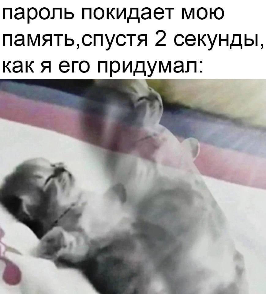 пароль покидает мою память, спустя 2 секунды, как я его придумал: в.