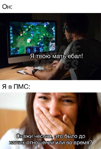 Я твою мать ебал! ПМС: 7 @кажи чес было до наших отношений или во время?