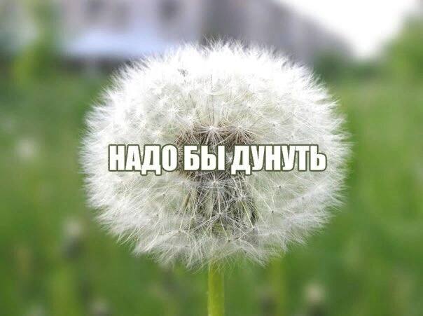 АДО БЫ ДУНУ