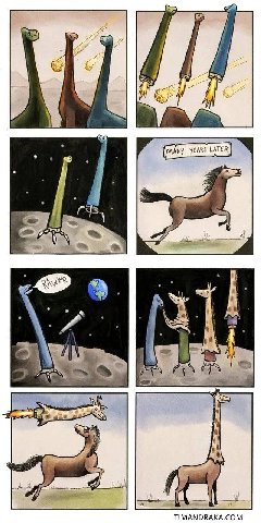 №2 A 4 a и TIMANDRAKA.COM