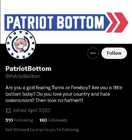 PATRIOT BOTTOM PatriotBottom Are you a god fearing Twink or Femboy? Are you a little bottom baby? you love your country and hate communism? Then look no further!!! 510 160