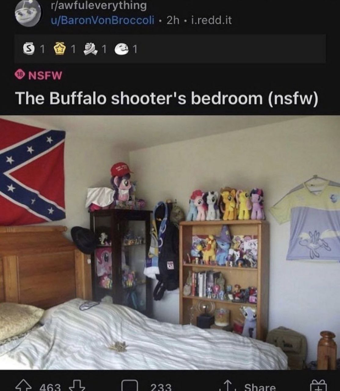 r/awfuleverything u/BaronVonBroccoli i.redd.it NSFW The Buffalo shooter's bedroom (nsfw) 171 а 922