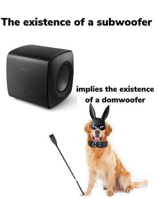The existence of а subwoofer implies the existence of a domwoofer