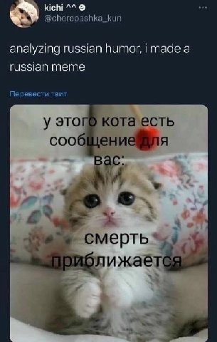 @cherepashka_kun analyzing russian humor, made a russian meme Перевести твит у кота есть сообщение®ля вас: CMePTb