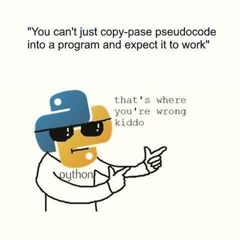 "You can't just copy-pase pseudocode into a program and expect it to work” that's where you're wrong kiddo ython