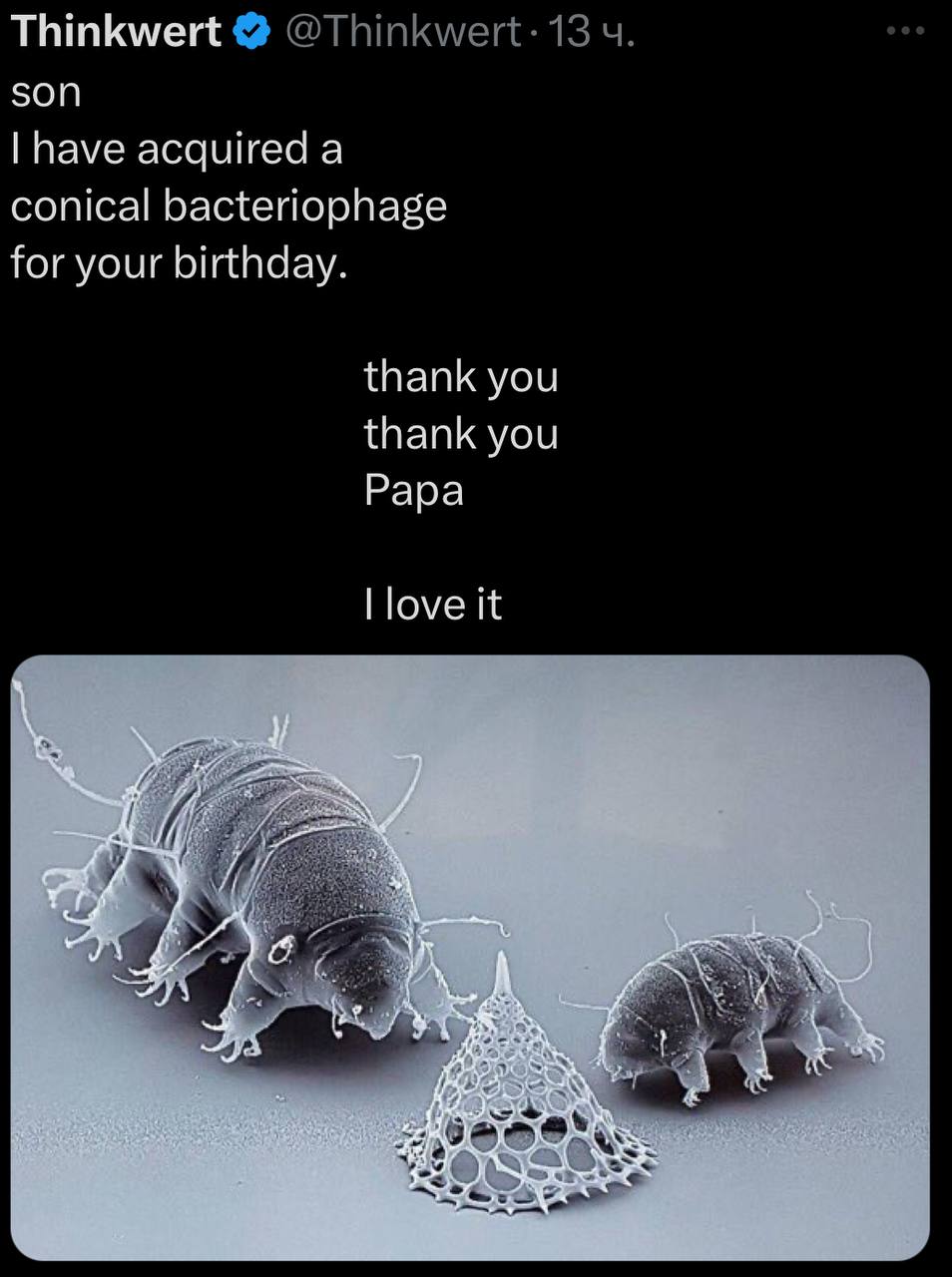Thinkwert 4 son have acquired a conical bacteriophage for your birthday. thank you thank you Papa love it